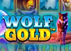 Wolf Gold
